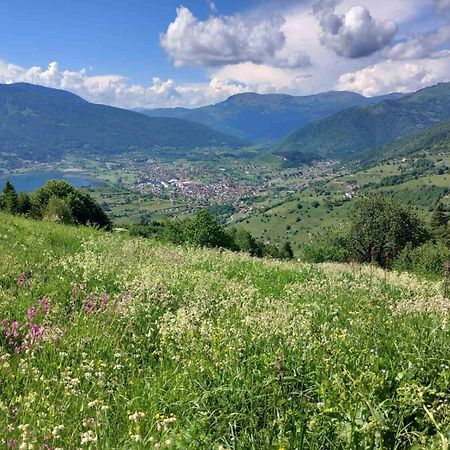 Bed and Breakfast Viewpoint Kofiljaca Плав Экстерьер фото